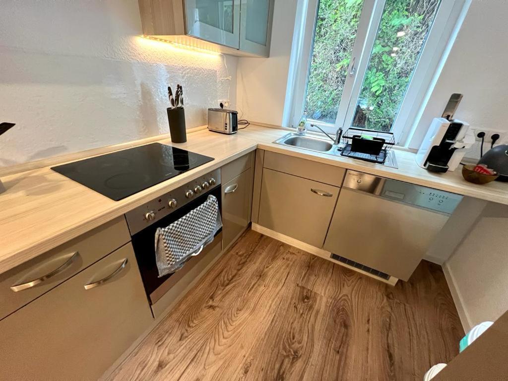 Exklusive Neubauwohnung Mit Wundervoller Aussicht Naehe Europapark Und Rulantica Burgheim Kültér fotó